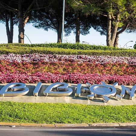Two-bedroom Flat In A With Shared Pool Apartment Bibione